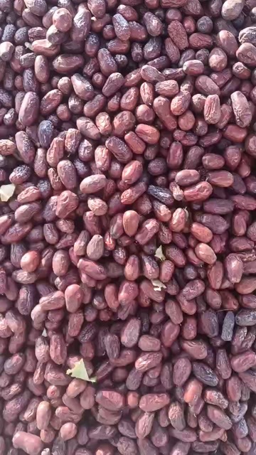 哈密新疆哈密骏枣  产地直发 新疆特色 品质红枣 天然
