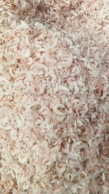 淡干无盐虾皮 常年供货 一点也不咸 一手货源