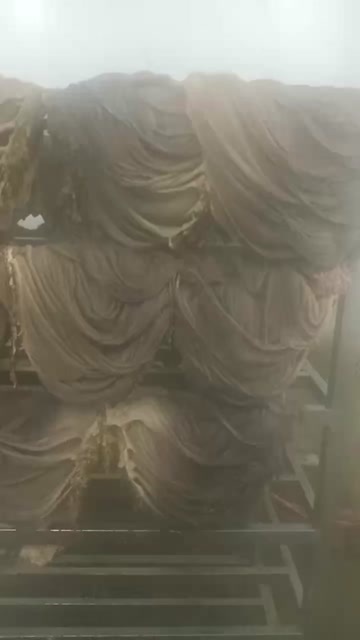沽源县鲜毛肚  百叶   厂家直销
