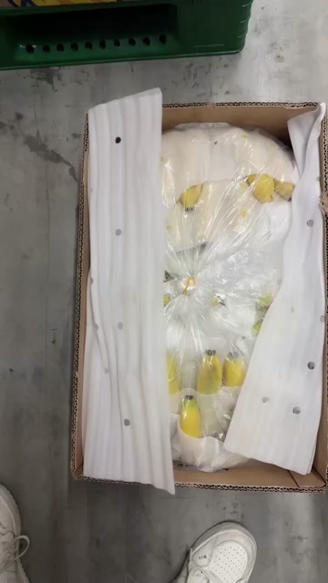 口感软糯香甜颜色金黄不受寒黄金蕉无花皮无黑心无硬心支持验货