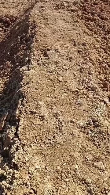 湖南衡阳地区   山改的田  村集体资源出租