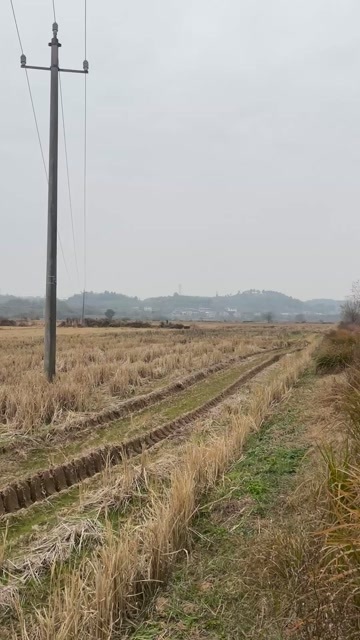 衡阳800亩水田流转出租