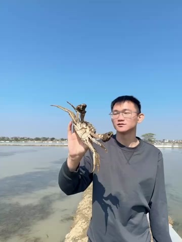 南京江苏南京高淳固城湖大闸蟹
