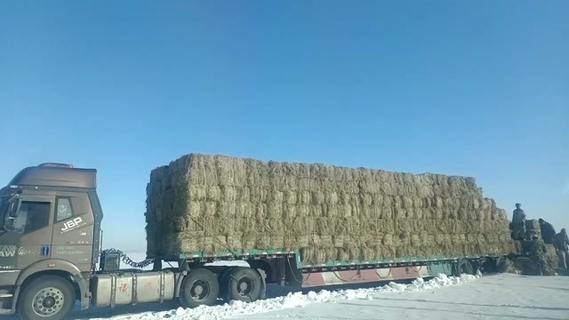 林甸县天然羊草小包磕头机马场草