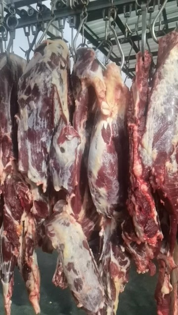 库车市阿克苏地区，现宰牛肉四分体，已排酸入库，24小时内发货