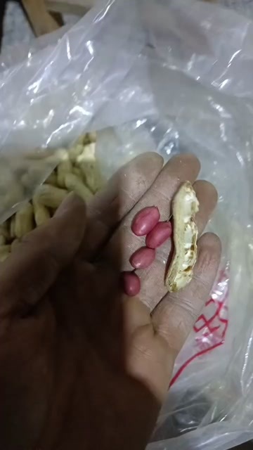 武陟县四粒红