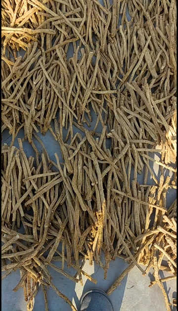 防风掐头去尾，有大货供应