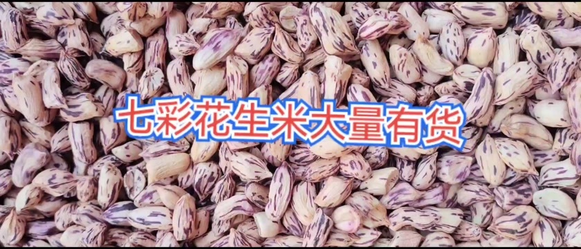 云南普洱七彩花生米 山东聊城发货 粮油米面优质选择