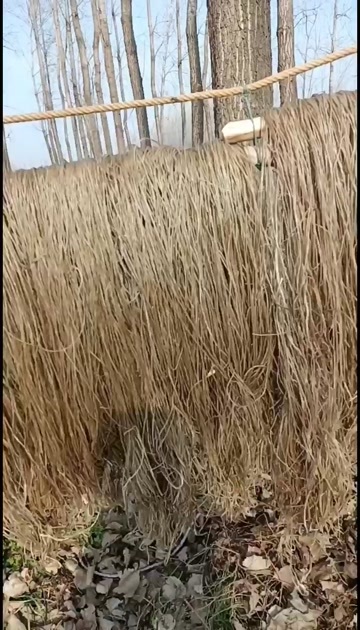夏邑县纯手工红薯粉条，小时候的味道