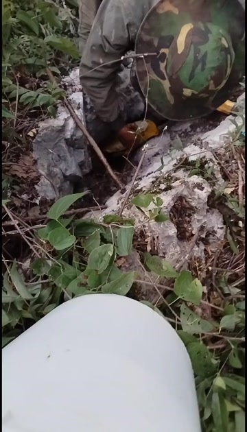 桂林天然野生中蜂石洞中蜂冬蜜，找蜂人自卖，包真