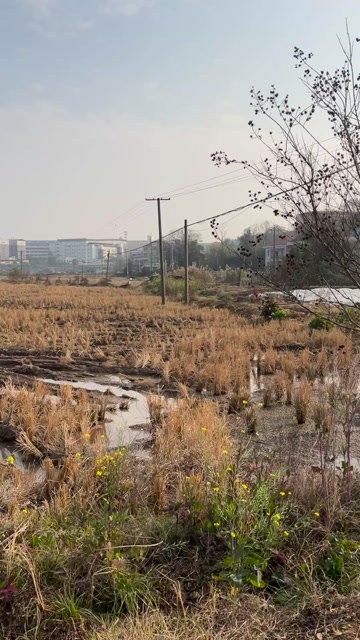 衡阳石鼓区500亩农田流转出租