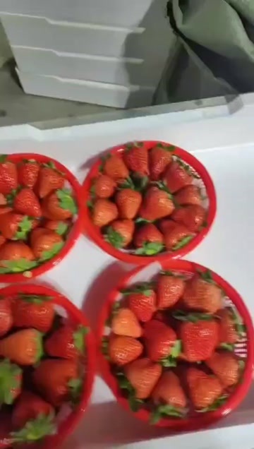 津市市草莓