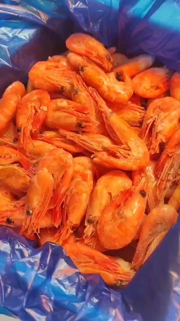 营口新鲜7090冰虾