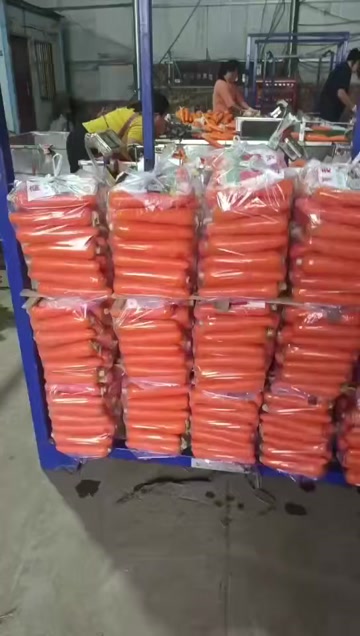 通许县产地直发精品红萝卜，水洗货，电商货，商超，规格齐全