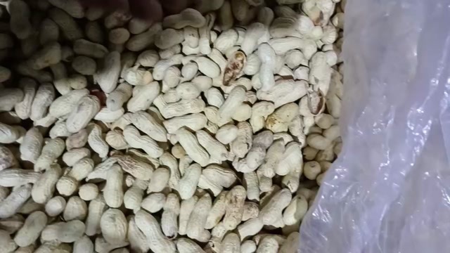 武陟县小花生  天福三