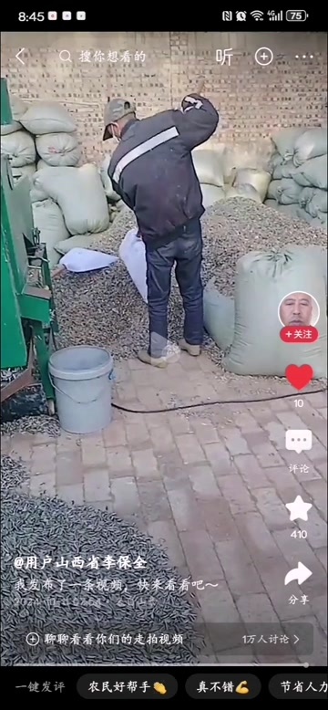 生瓜子，3瑞3号，500亩，价格可优！