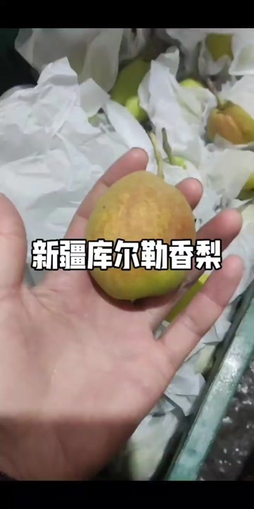 新疆库尔勒香梨,一级二级，皮薄肉厚，甜度高，适用于市场，电商