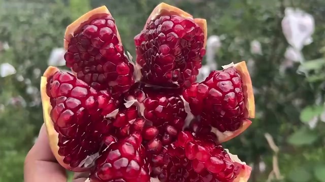 西安临潼甜石榴