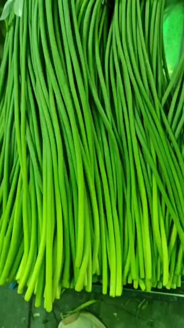 白帽蒜薹