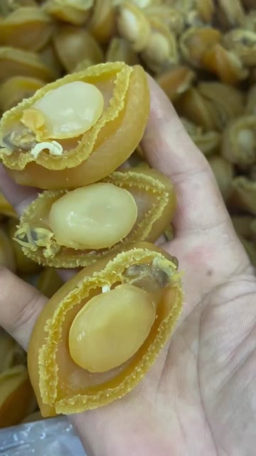 湛江鲍鱼干黄金鲍鱼干多规格品质货A货大鲍鱼干一手货源批发送礼佳品