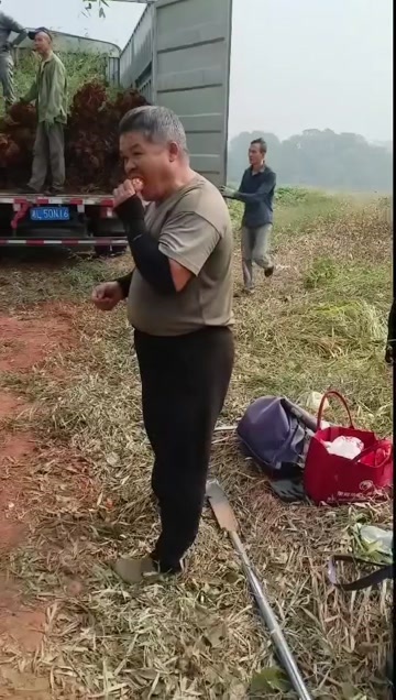郴州竹