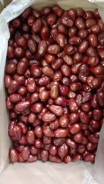 惠州骏枣一级骏枣