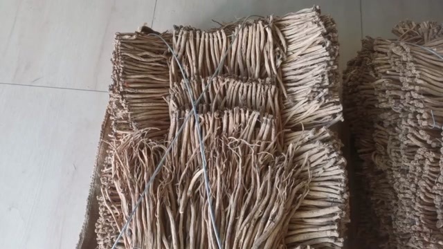 岷县千年药乡，道地药材，优质岷党参，需要的老板请联系