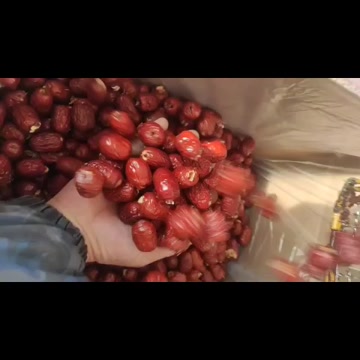 无核新疆若羌灰枣红枣无核红枣去核灰枣，灰枣一件也批发