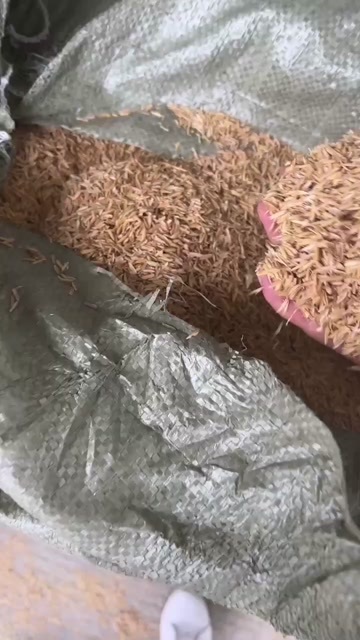 当阳市酿酒稻壳