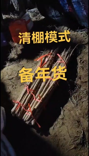 灵宝市灵宝铁棍山药，一级货，二级货，电商货，加工厂货