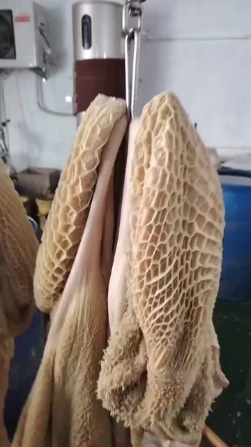 草地黄牛肚 去油 纯干 控水 新鲜速冻