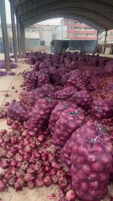 金乡县个头大不脱皮 无霉 无烂心价格实惠