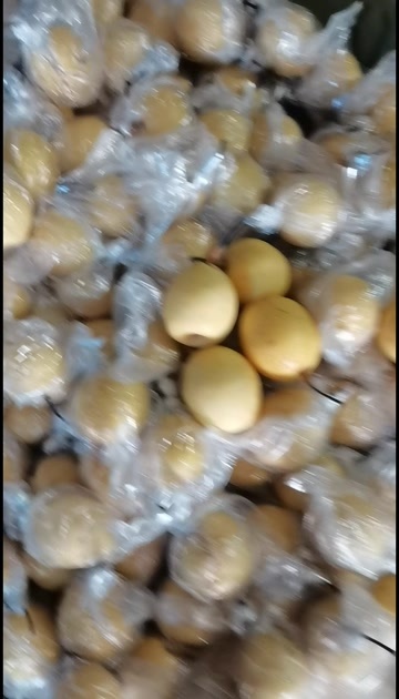 昌黎县小蜜梨山东老板装车，蜜梨今年表光好质量一流产地直销。