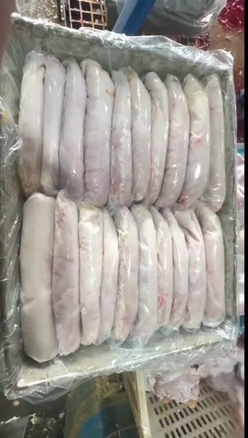 青岛20个左右 纯干大肚