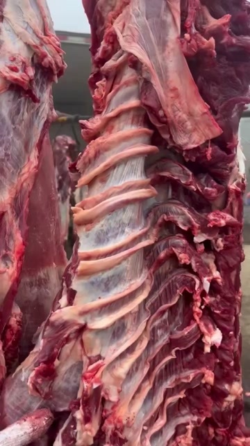 国产纯干鲜牛肉，量大优惠，物美价廉，过年火锅、肉馅、炒菜佳品