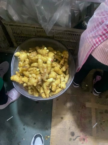 安丘市水洗姜巴，需要的联系，提前一天订货
