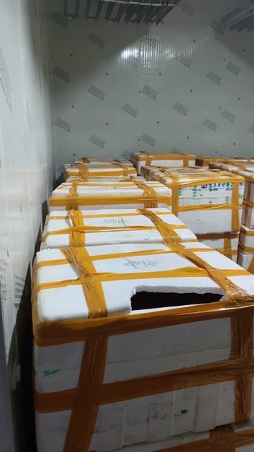 宜宾翠屏区新鲜甲鱼水产类活体发货量大从优价格实惠