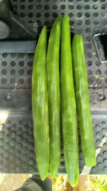 彭州市三青莴笋