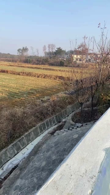 怀宁县安庆市怀宁县有五百多亩高标田流转，上有水库，可签村里一手合同