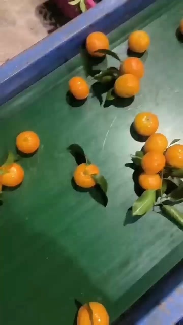 梧州广西产地直发！量大从优