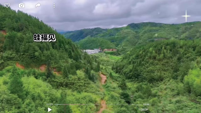 优质环境，孕育独特石蛙