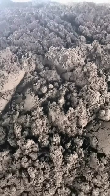 大方县半干牛粪，价格美丽
