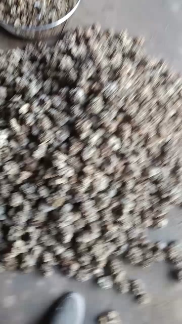 鱼台县核桃菌又名猴脑菌 马卡菌 产地直销 一手货源