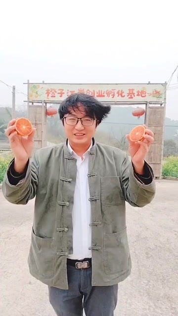 重庆市血橙