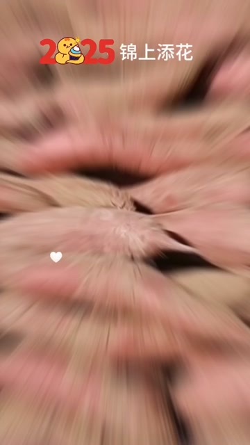 大荔县优质秦薯新鲜出土营养丰富甘甜可口