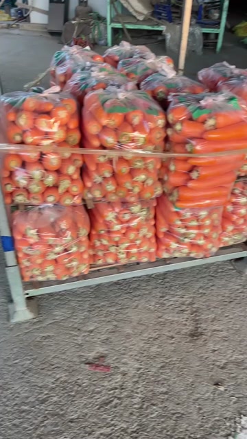 三红胡萝卜养殖场～加工厂～大量供货红萝卜大量上市电商各种规格