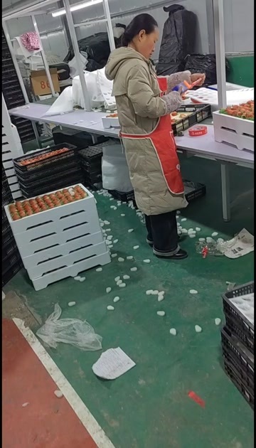 泗县红颜产地货源，保质保量，诚信合作