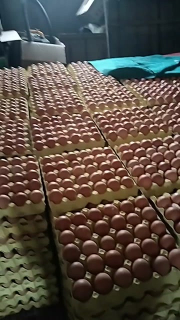 洛南县红壳蛋