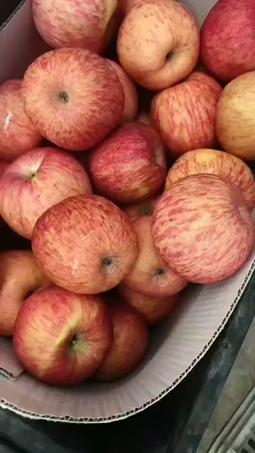 仁化县红富士