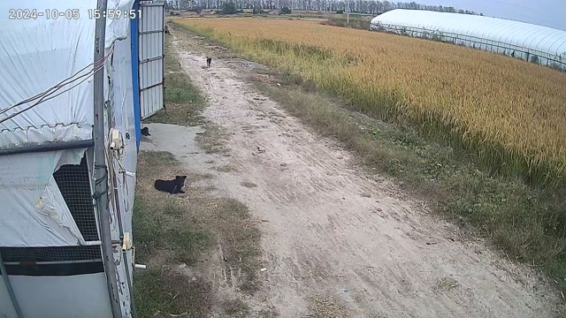 凤台县20亩养殖场地出租